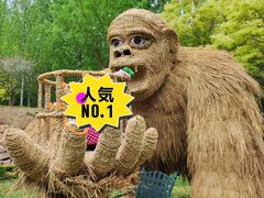 -静之湖度假区