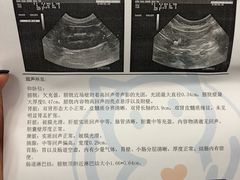-纳吉亚猫专科动物诊疗中心(蒋宅口分院)