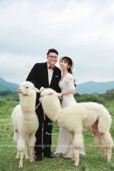 -花漾摄影优选工作室(东莞原创作品店)