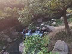 -新洲生态园