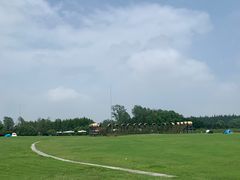 -东平国家森林公园