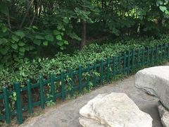 -西安市长乐公园