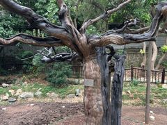 -草庵摩尼教遗址公园