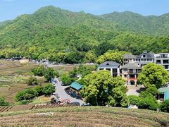 -龙坞茶村
