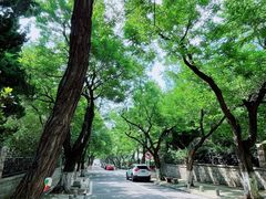 -八大关景区