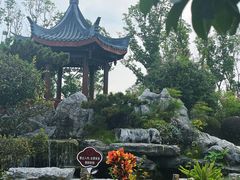 -东莞植物园