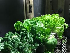 -旅马餐厅(茅家埠店)