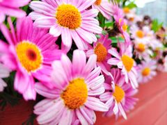 -百伦百货(简阳店)