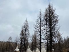 -阿尔山市大兴安岭奥伦布坎景区