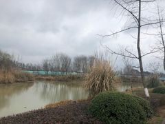 -白鹭湾湿地公园