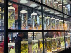 -广东中医药博物馆