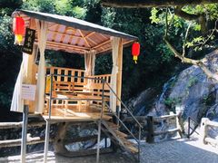 -天门沟九州驿站树上汤泉