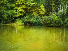 -溱湖国家湿地公园