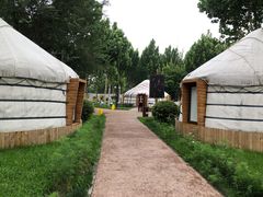 -九十九顶毡房(阜石路店)