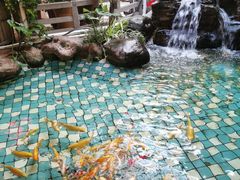 -大鹅岛绿色生态美食园