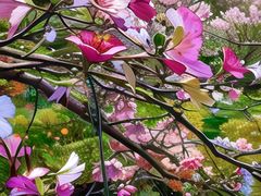 -广东花都湖国家湿地公园