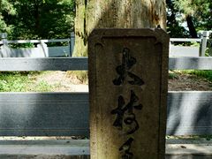 -天目山大树王景区