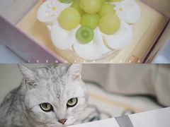 -福气鲜活面包·生日蛋糕