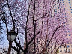 -星巴克臻选(北京太阳宫凯德店)