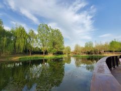 -东郊湿地公园