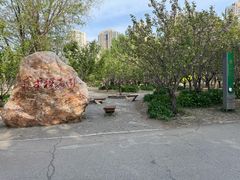 -长白岛森林公园