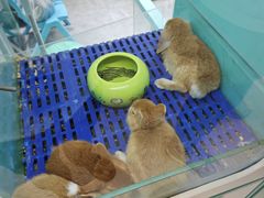 -重庆北碚万达广场