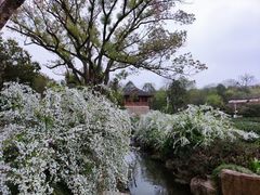 -中国茶叶博物馆(双峰馆区)
