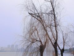 -艾溪湖湿地公园