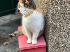 -巴金故居