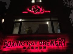-Boxing Cat Brewery拳击猫精酿啤酒馆(永福店)