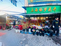 -曲阳花鸟市场(曲阳路店)