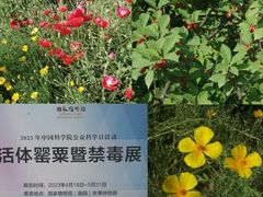 -国家植物园南园