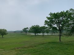 -盘龙城国家考古遗址公园