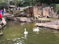 -燕塞湖鸟语林景区