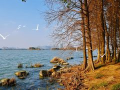 -长广溪湿地公园