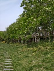 -268童话露营农场·烧烤·团建