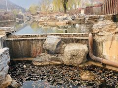 -静之湖湖畔餐厅