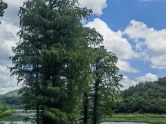 -东钱湖小普陀景区