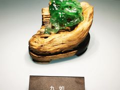 -安徽省地质博物馆