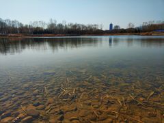 -永定河休闲森林公园