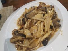 -大连金石滩绿发温泉假日酒店