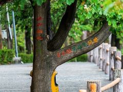 -东莞观音山旅游风景区