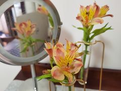 -ZING COFFEE 镜咖啡