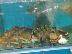 -美达尔烧烤海鲜家常菜(泰山路店)