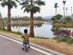 -枫香湖儿童公园