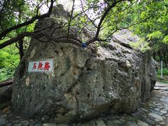 -阳台山自然风景区