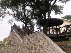 -上海市保健医疗中心