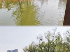 -迎泽公园
