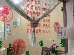 -美蛙居