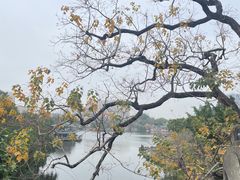 -中山公园